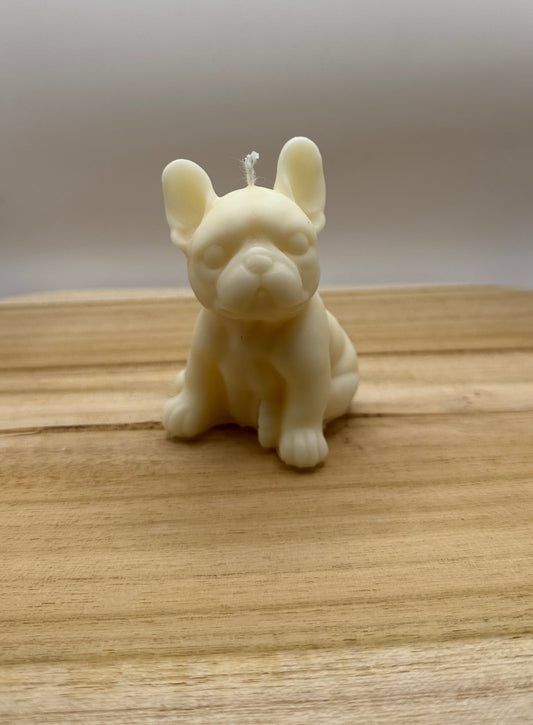 Französische Bulldogge